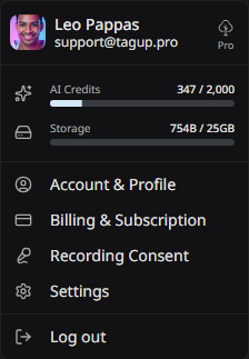 The user menu with the plan badge, the usage bars, and the links